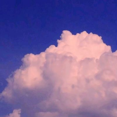 守下这座塔官方版(暂未上线)v1.0.0 安卓版