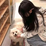 奇游联机宝app下载
